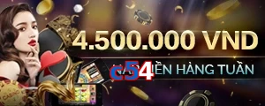 c54